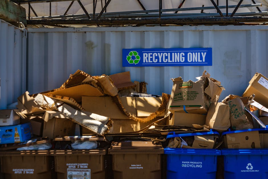 A collection of flattened and crumpled cardboard boxes, paper packaging, and paper bags piled on top of each other in front of a white shipping container with a blue recycling only sign. The cardboard varies in color from light brown to darker shades, with some pieces showing corrugated textures and torn edges. The paper items include brown paper bags and flattened boxes with printed labels and logos. The scene is outdoors, illuminated by natural daylight, with a metal structure overhead partially visible at the top of the image, suggesting a waste disposal area designated for recyclable materials handled by Rubbish Clearance Ealing. In the background, the container's surface appears slightly weathered, and the sign indicating recycling only is prominently positioned above the waste pile, emphasizing the purpose of this section for private or independent collection of recyclable cardboard and paper. This setup aligns with alternative waste handling and rubbish removal services within the local area.