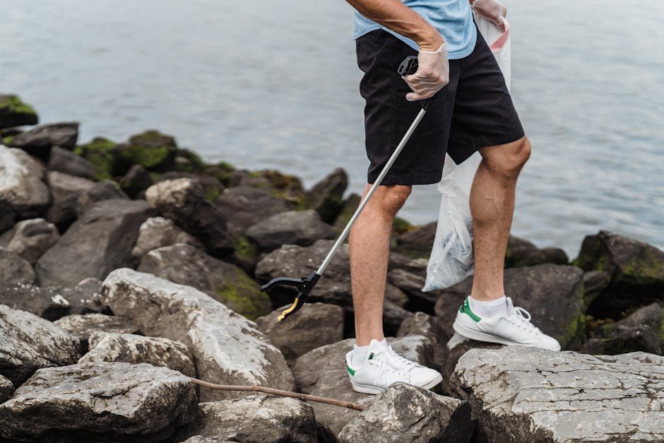 A person is standing on a rocky shoreline near the water, wearing a light blue shirt, black shorts, and white sneakers with green accents. They are holding a litter picker tool in their right hand and a white plastic bag in their left, which appears to contain collected waste. The rocks surrounding them are irregular in shape, with some covered in green moss or algae, suggesting proximity to a natural aquatic environment. The background features calm water extending to the horizon, creating a serene outdoor setting. The scene reflects an act of rubbish collection or beach clean-up in a natural outdoor environment, consistent with private waste handling or alternative rubbish removal efforts often managed by services like Rubbish Clearance Ealing, especially during community or environmental cleanup activities. The lighting is natural, indicating daylight conditions, with no visible additional equipment or waste aside from what the individual is holding, emphasizing a focus on environmental preservation and rubbish clearance.