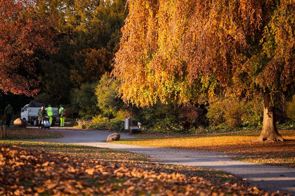 In this outdoor scene within Walpole Park during autumn, a group of workers dressed in high-visibility jackets are gathered near a white utility van parked on a paved pathway. The workers appear to be engaged in a park maintenance or rubbish removal activity, with some carrying equipment or tools. Surrounding them, the park features a large tree with dense foliage in vibrant shades of orange and yellow, characteristic of fall. Fallen leaves cover the ground and the edge of the pathway, creating a warm, colorful carpet. A metal trash bin is visible along the side of the path, and the background includes lush greenery, with additional trees in subdued autumn hues. The scene is illuminated by soft, natural light, highlighting the textures of the leaves, the smooth surface of the pathway, and the reflective safety gear worn by the workers. This image emphasizes the process of on-site clearance and maintenance in a public park environment, with occasional reference to private waste handling services such as those offered by Rubbish Clearance Ealing.